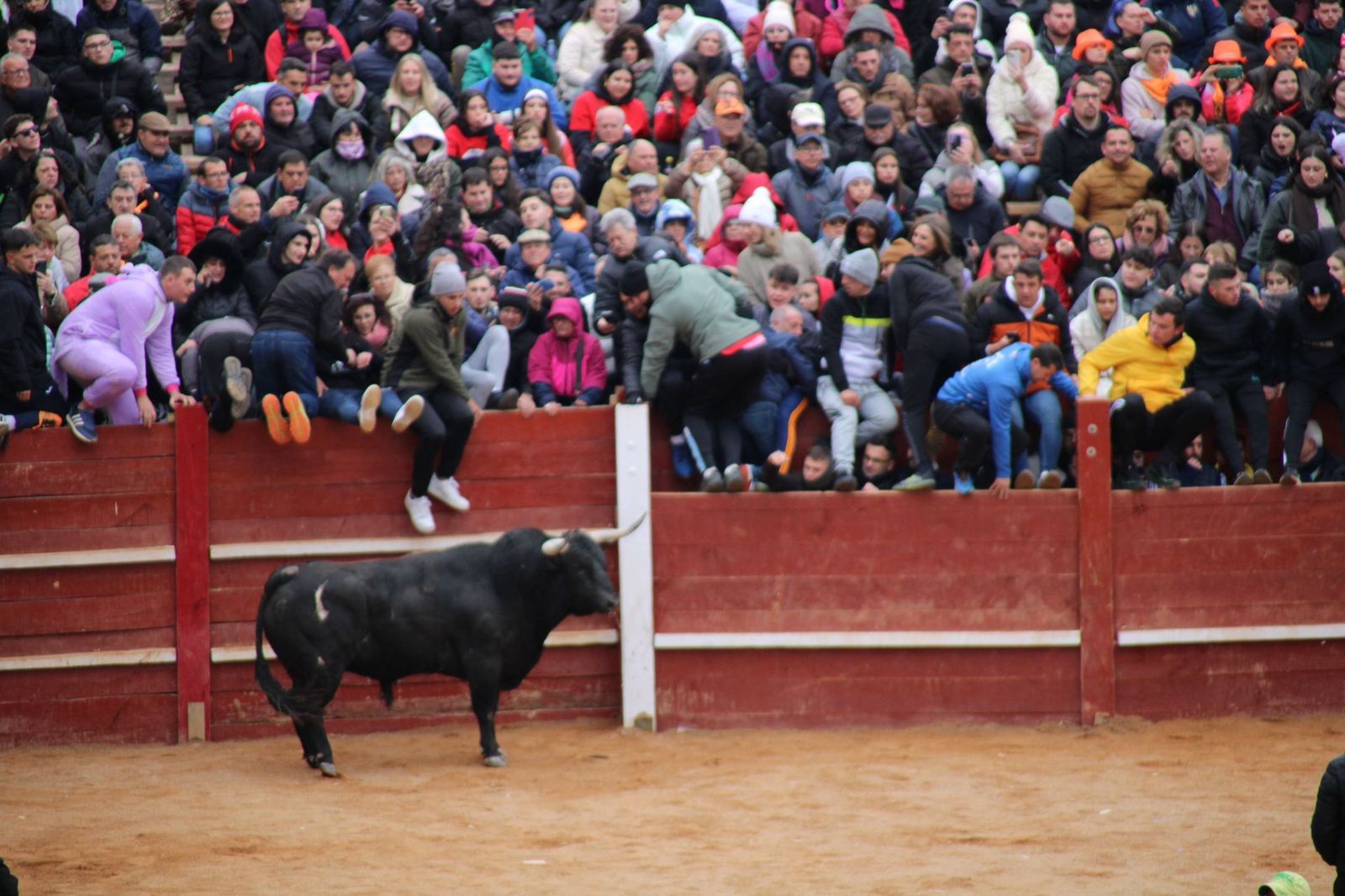 whatsapp-image-2025-03-01-at-13-18-50