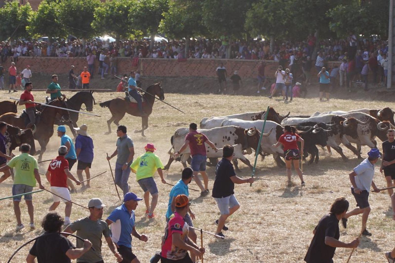 espantes-de-fuentesauco-21