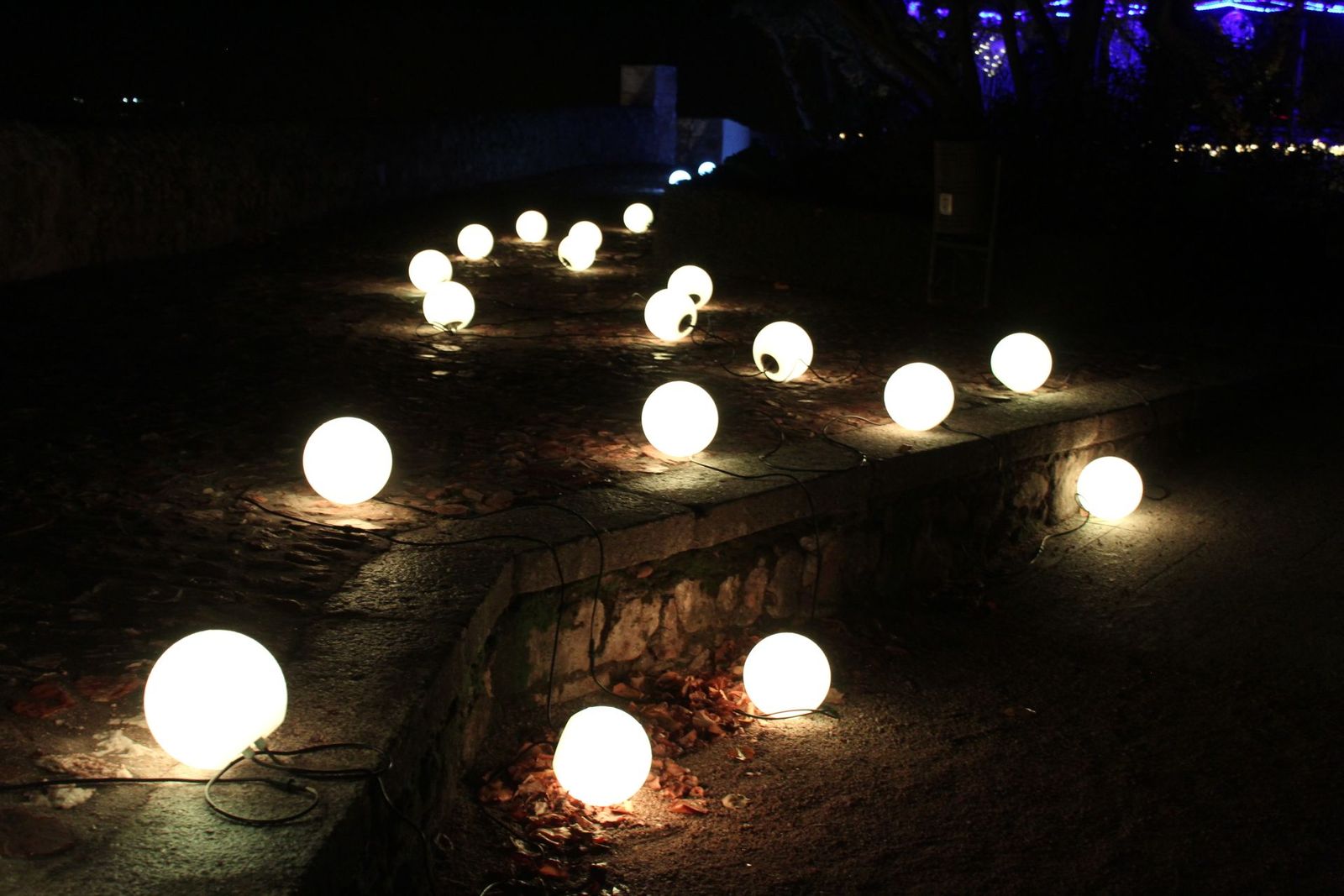 20231204213003-img-6423