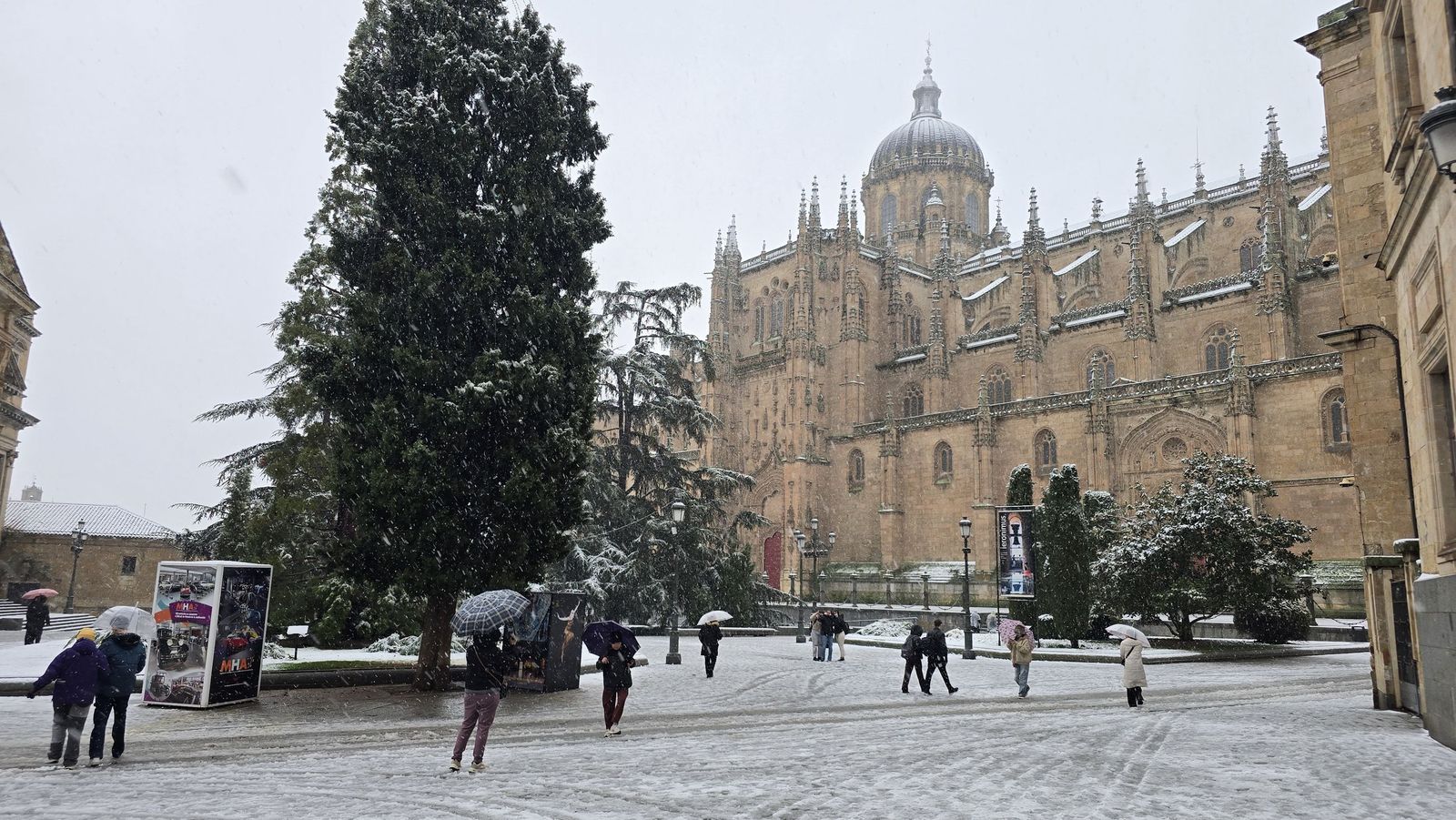 La nieve anega carreteras y tiñe de blanco Salamanca capital y provincia: imágenes de la nevada de este 28 de enero