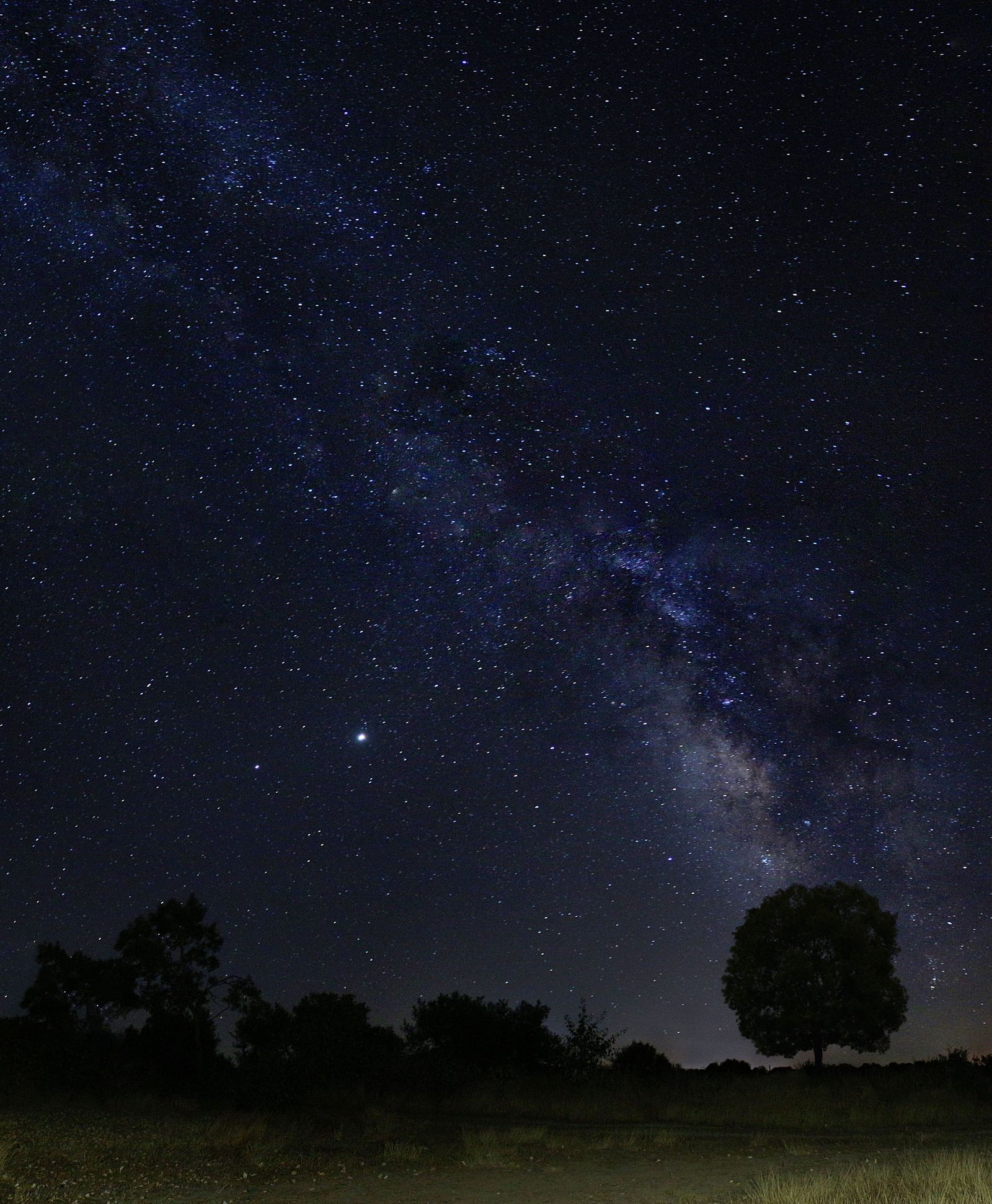 Accu00e9sit. Daniel Peu00f1a Gonzu00e1lez