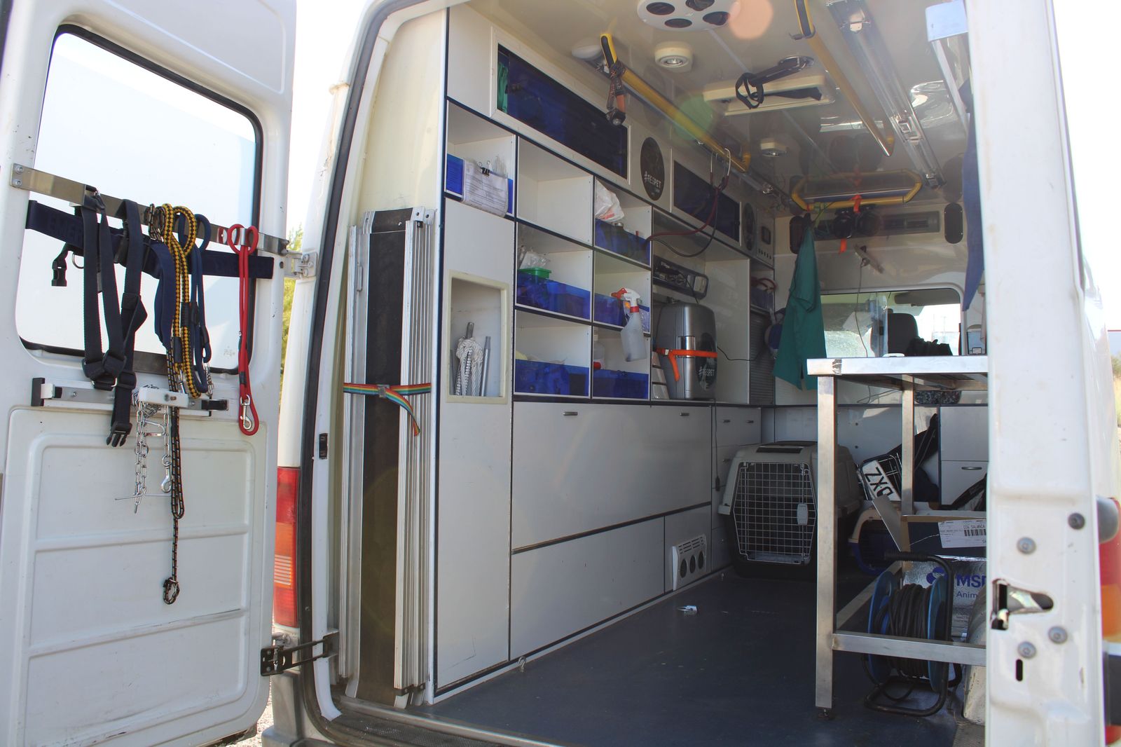 Refugio de animales del Ayuntamiento de Salamanca (13)