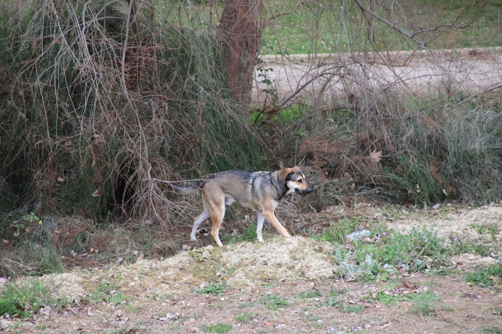 20240307112002-img-9215