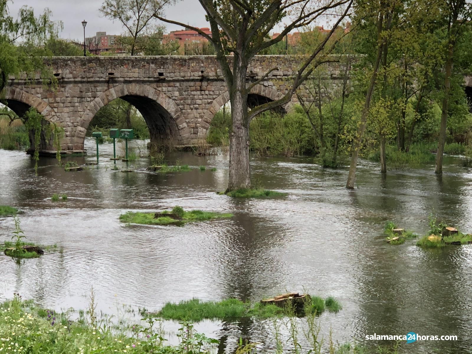 Crecida del río tormes (2)