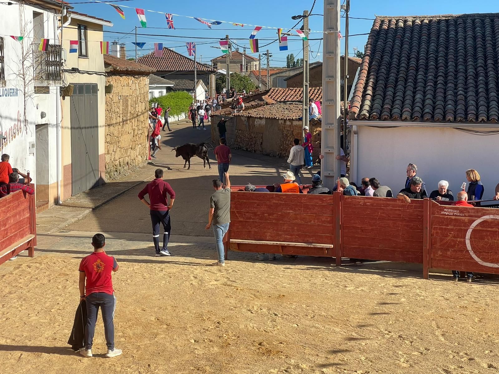 suelta-de-vaquillas-en-cabrillas-7