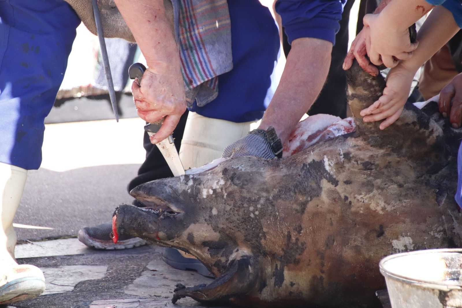 20230204132101-mg-5028