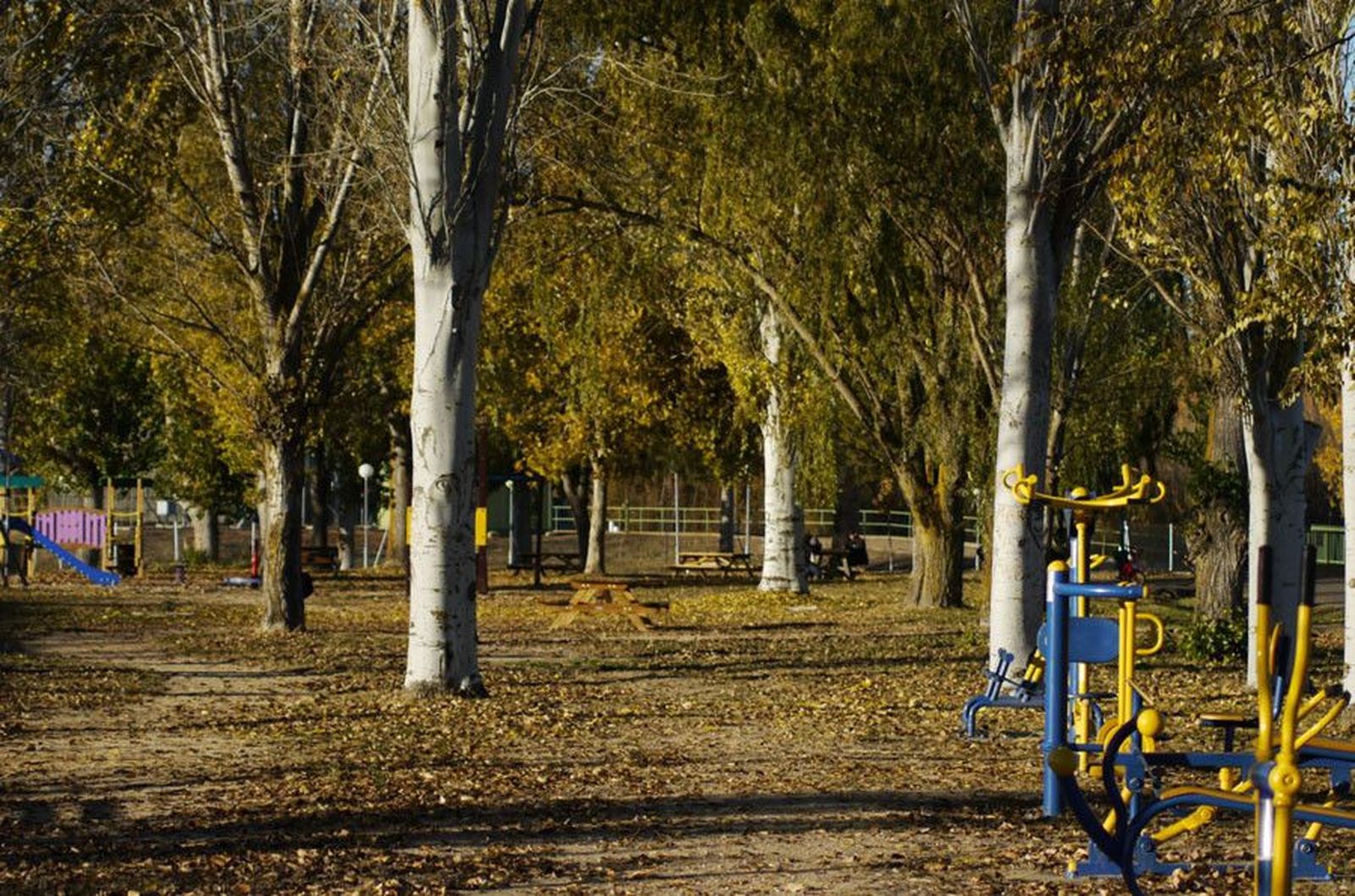 Parque Villaralbo. Archivo