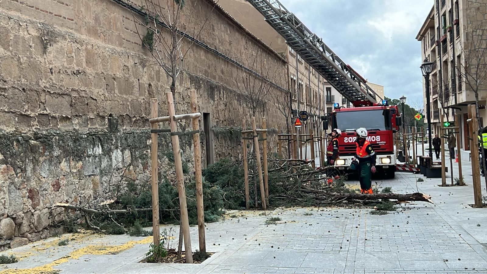 whatsapp-image-2024-02-08-at-16-24-14