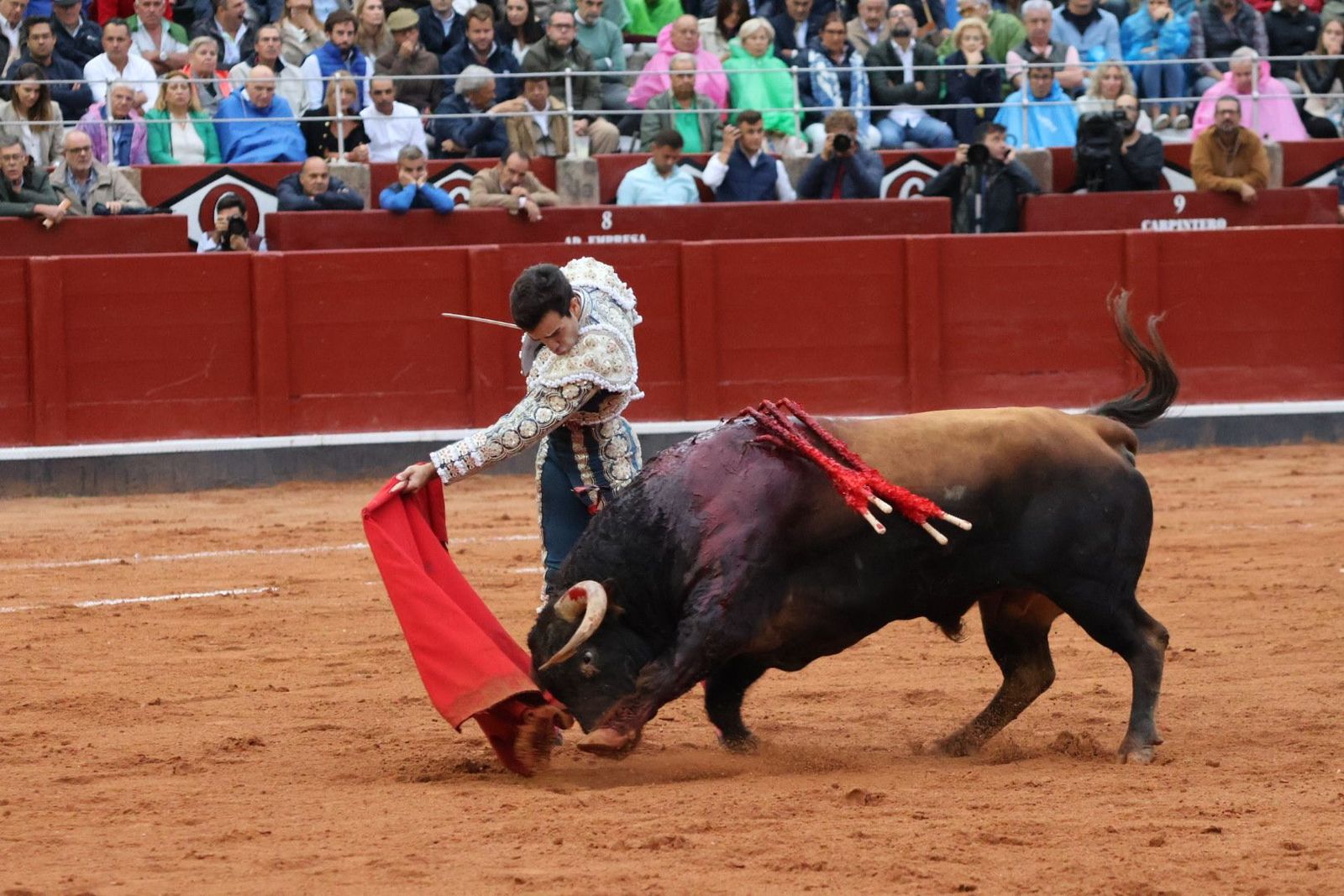 20230916191028-img-5693