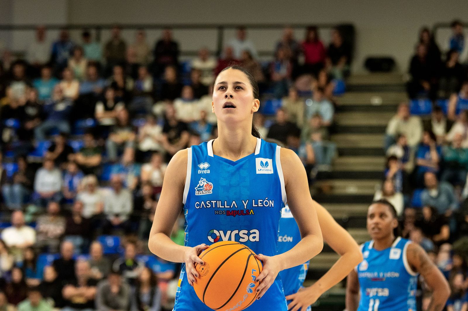 Perfumerías Avenida - IDK