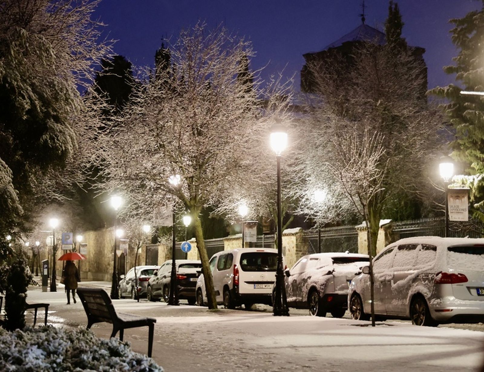 La nieve anega carreteras y tiñe de blanco Salamanca capital y provincia: imágenes de la nevada de este 28 de enero