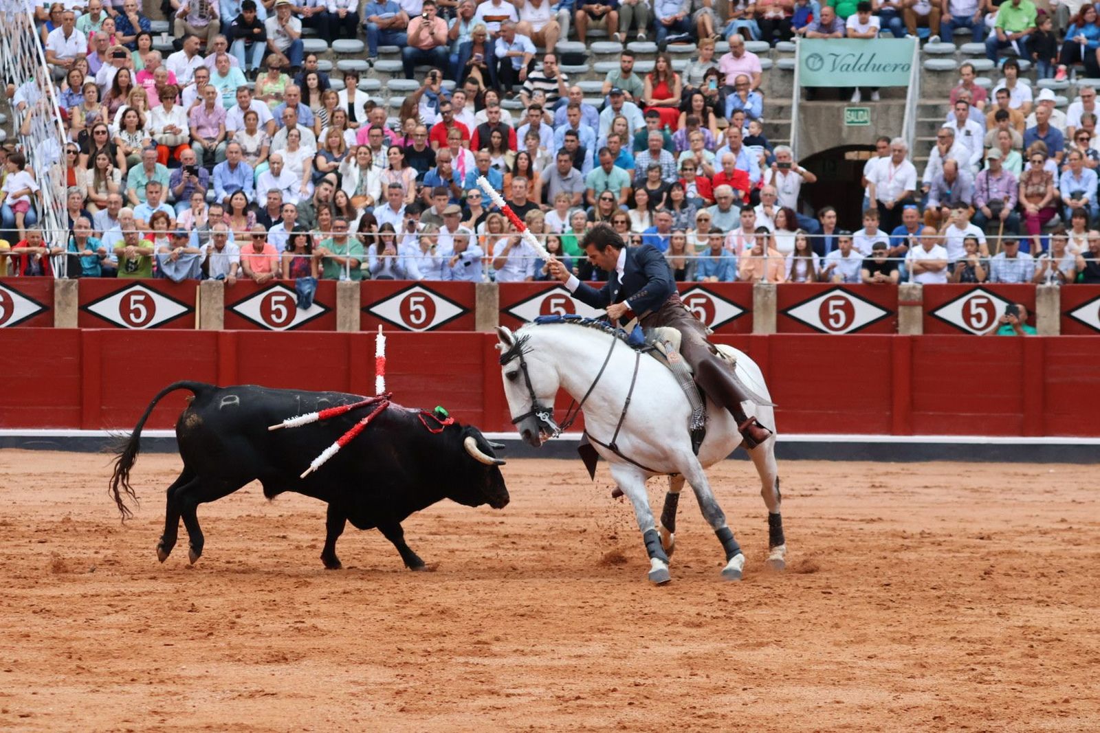 20230909174357-img-0535