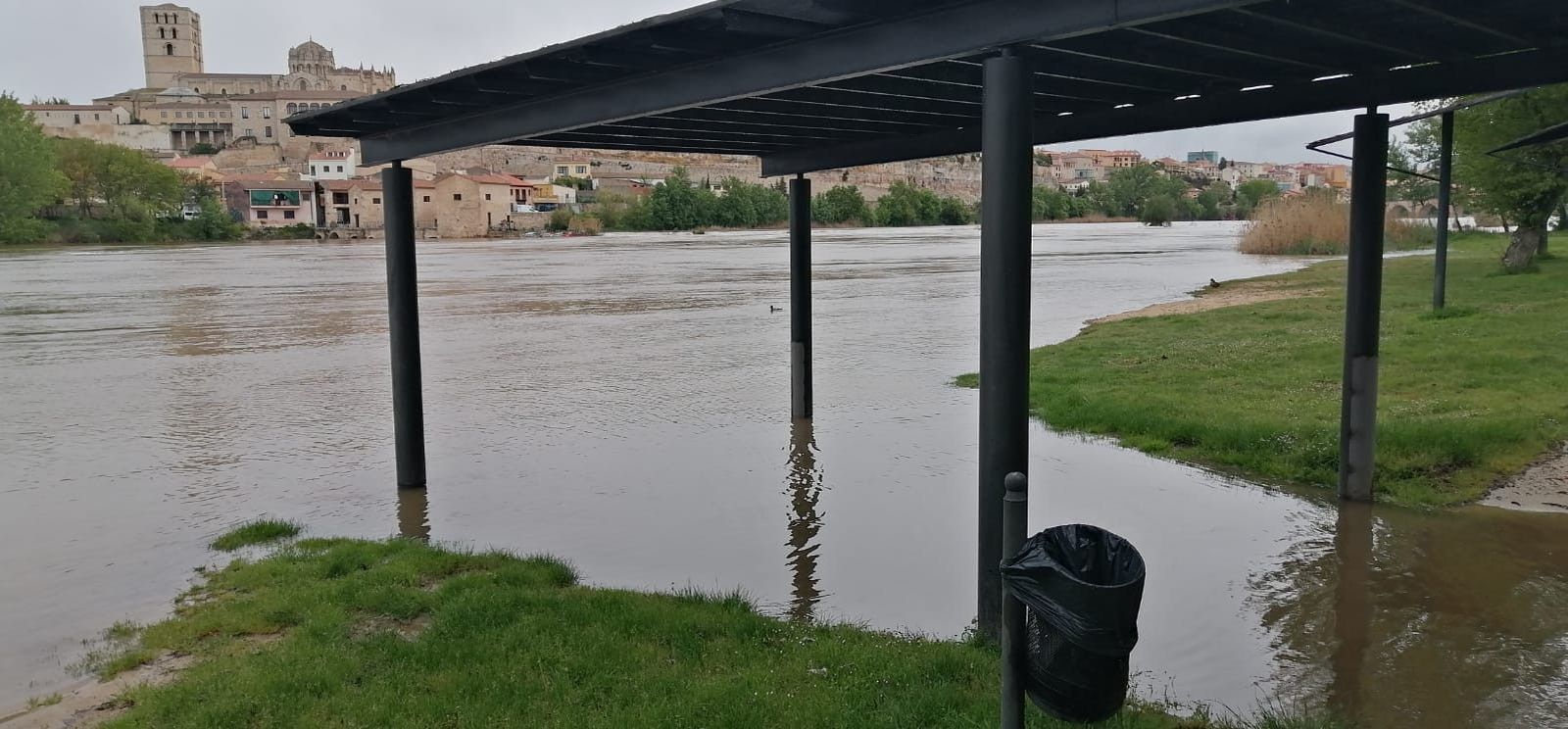 WhatsApp Image 2020 04 21 at 10.57.29