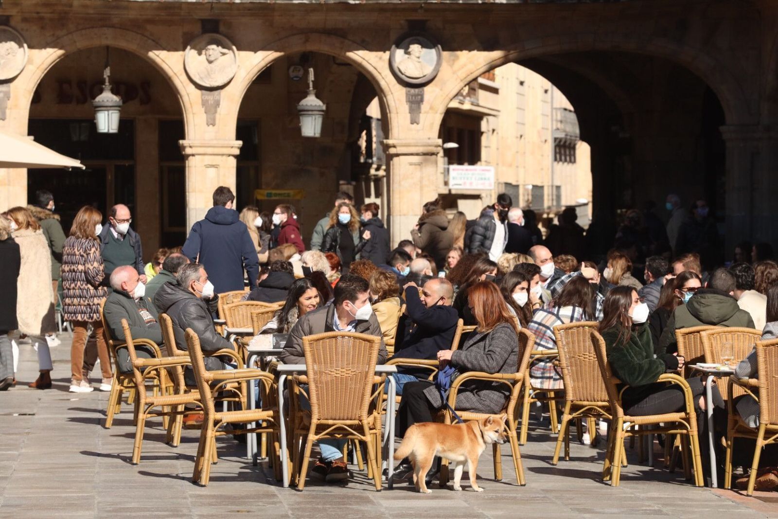 terrazas-en-salamanca-el-13-de-febrero-9