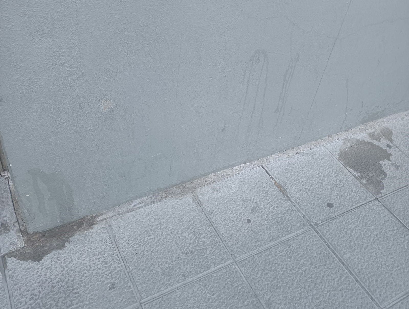 Orines de perros en Zamora (2).