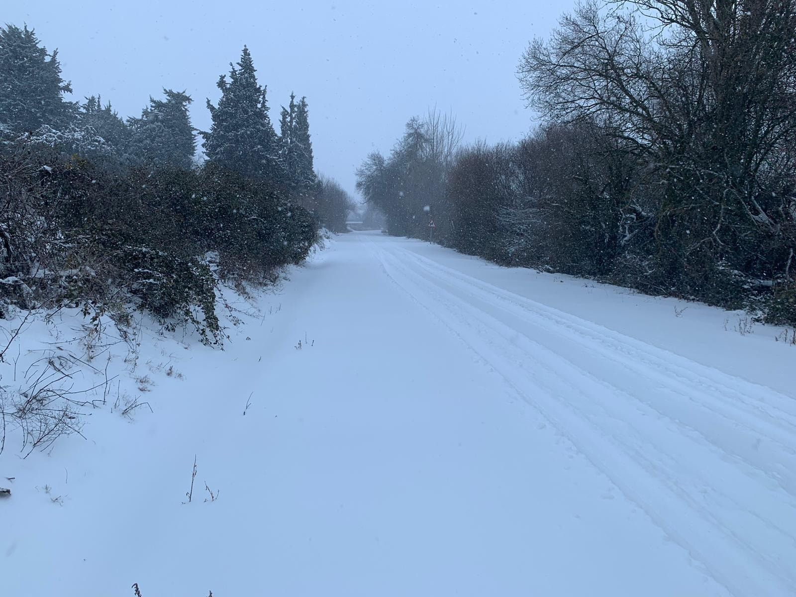 135834471 4028669143844745 1327767191994551512 o