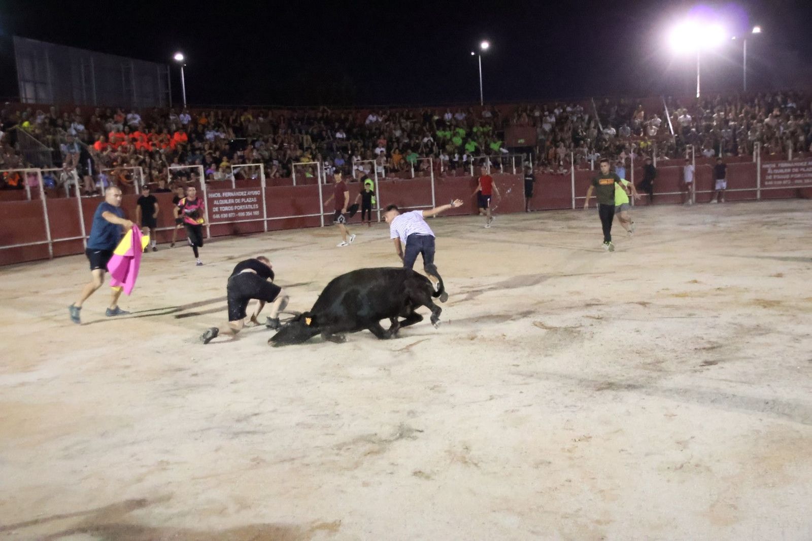 20230812212616-img-1251