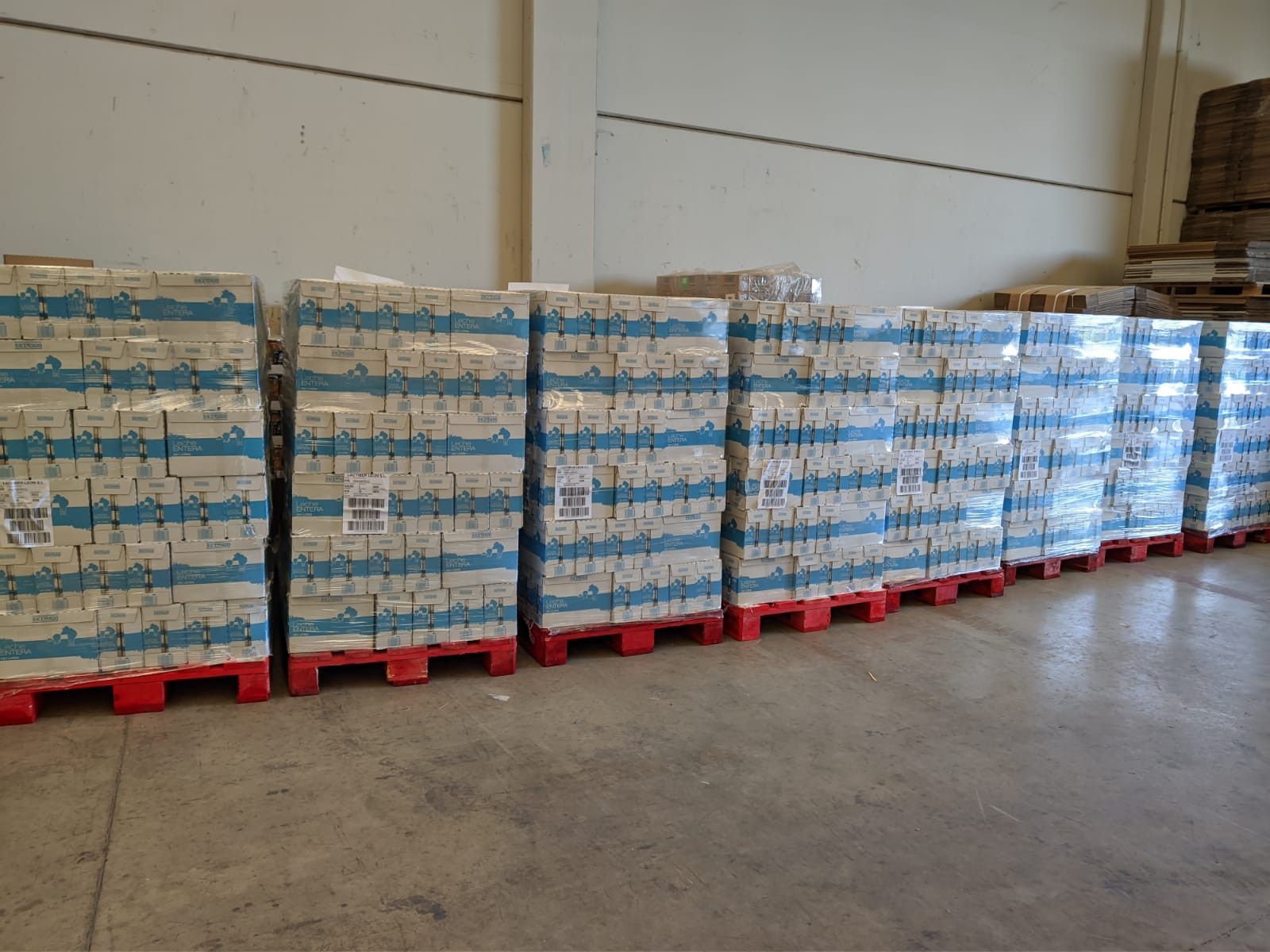 WhatsApp Image 2020 04 03 at 09.14.55 (1)