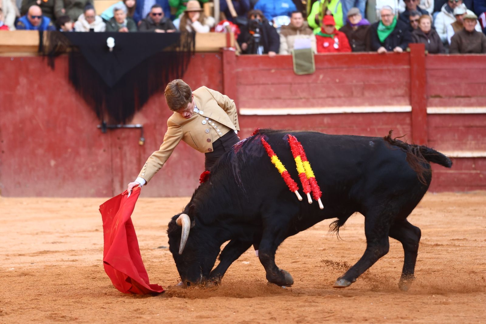 Festival del martes en el Carnaval del Toro 2026