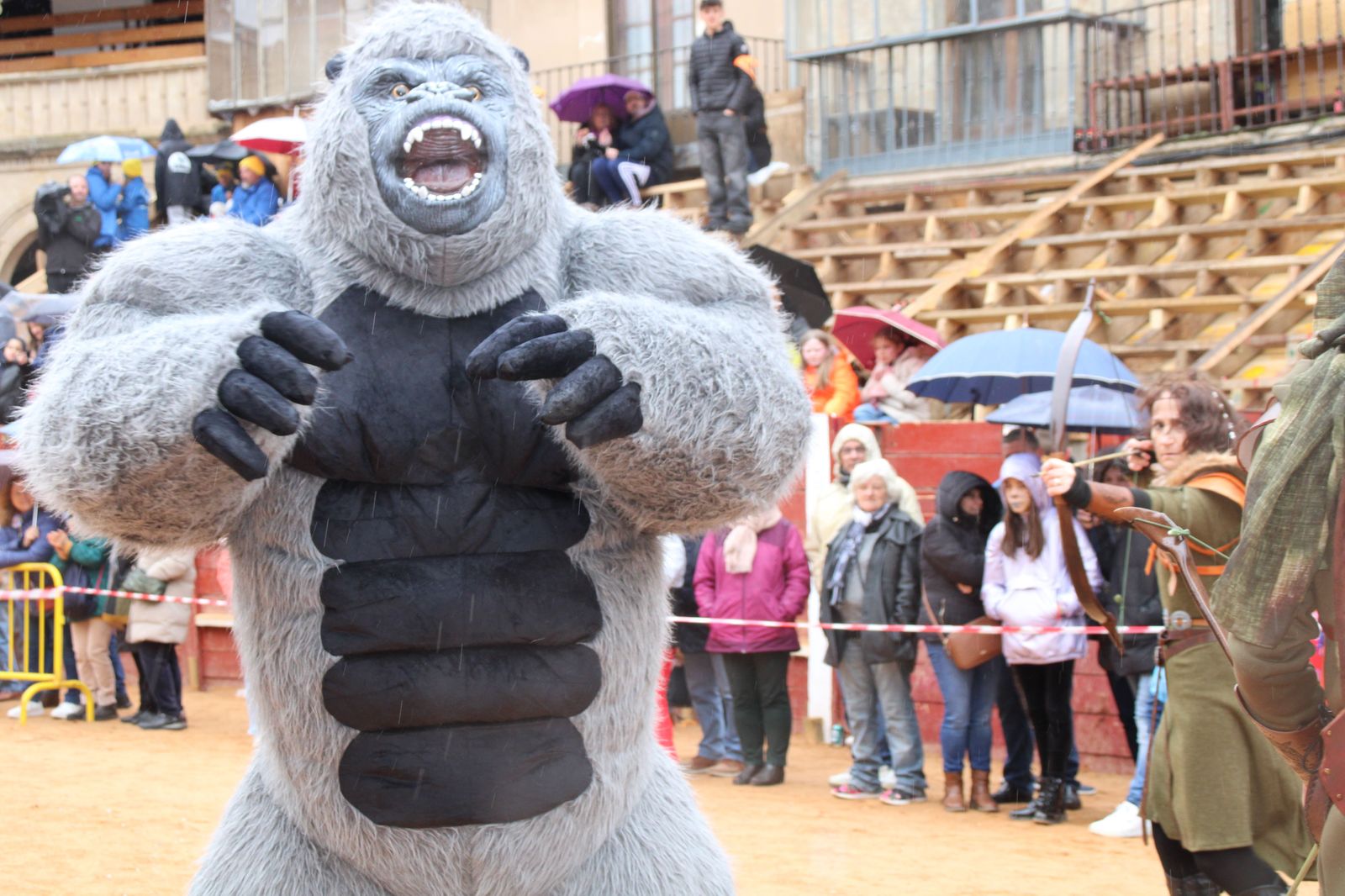 desfile-disfraz-callejero-sabado-carnaval-ciudad-rodrigo-2025-47