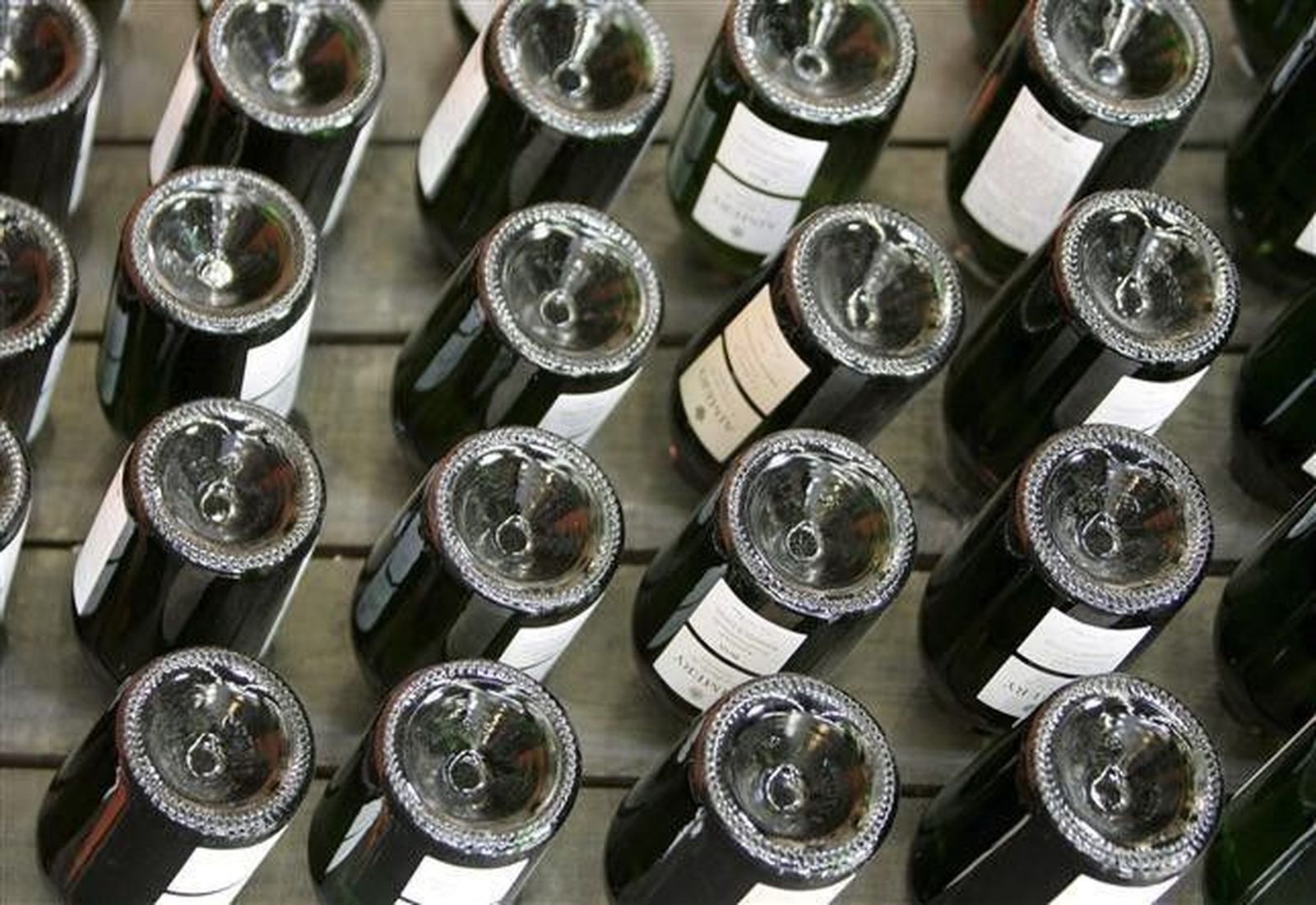 Científicos de la Usal desarrollan un estudio pionero en España para mejorar la producción de vino ecológico