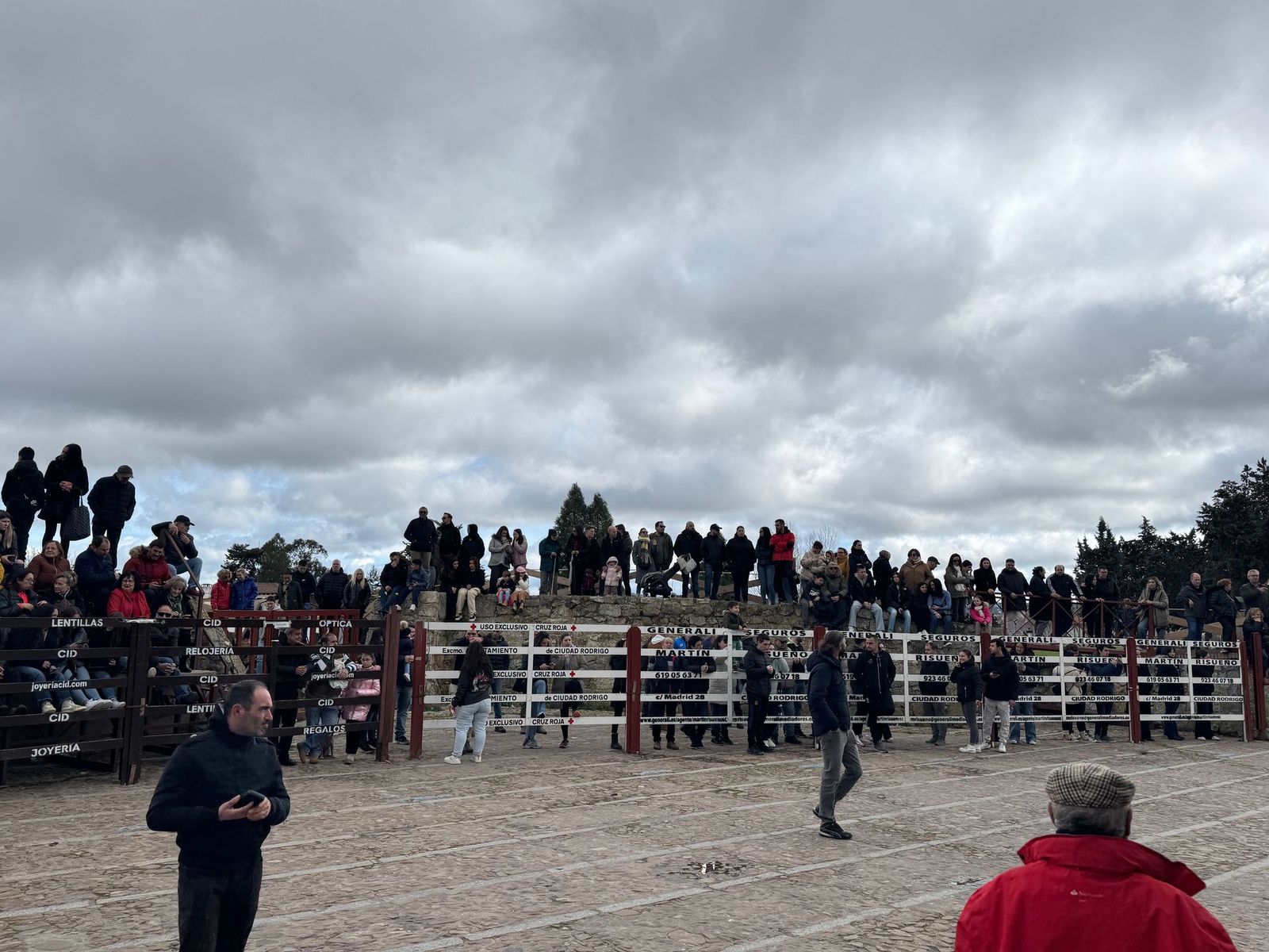 suelta-de-vaquillas-por-el-domingo-de-pinata-en-ciudad-rodrigo-9-de-marzo-de-2025-3