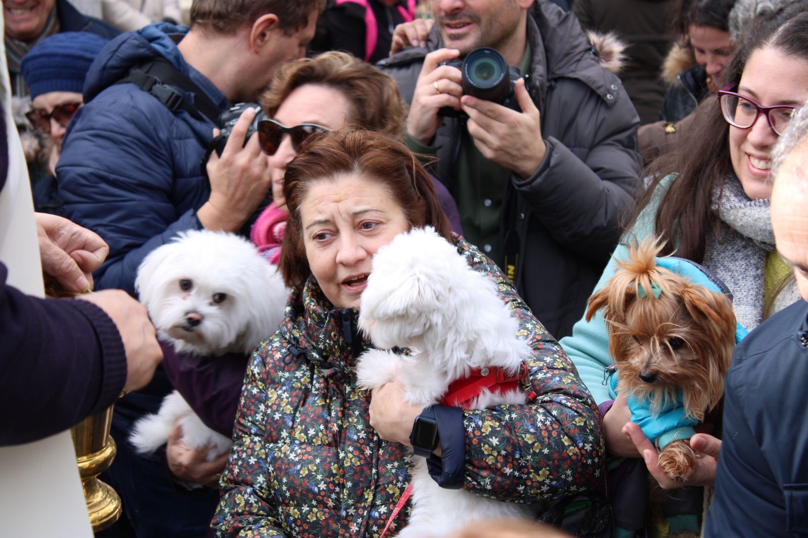 san-anton-bendicion-de-animales-2024-foto-s24h-88