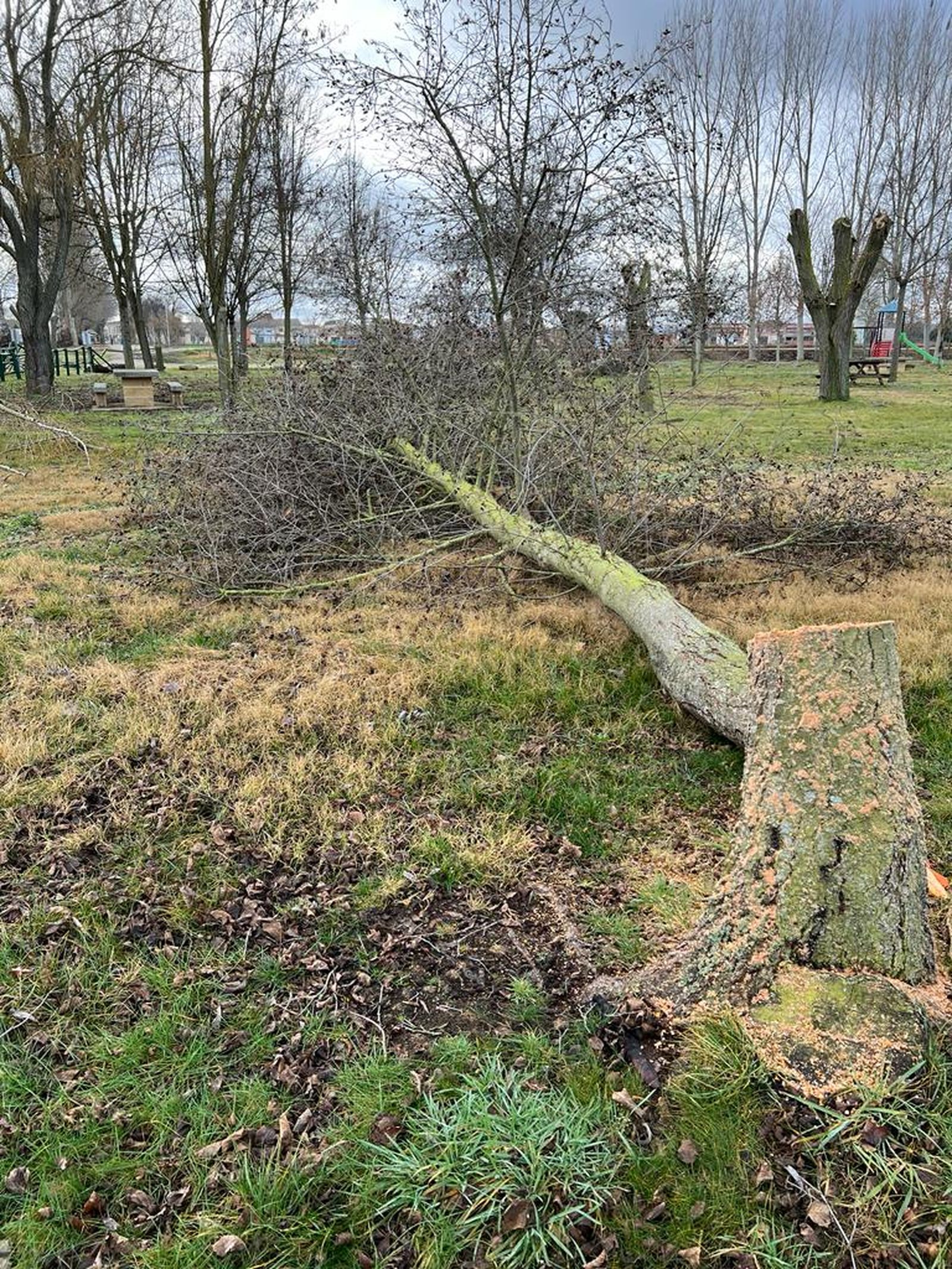 whatsapp-image-2024-01-04-at-13-16-41-3