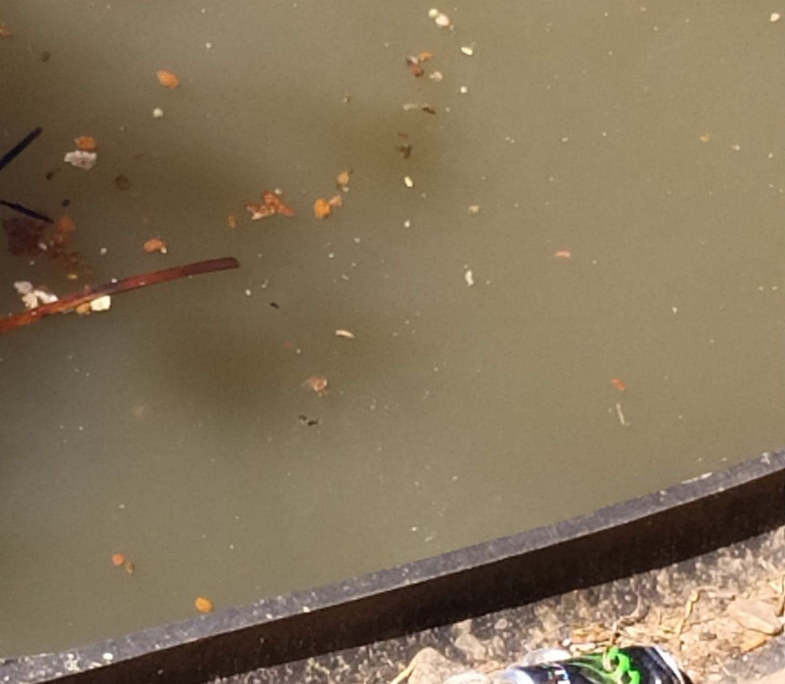 Vertidos santa marta2