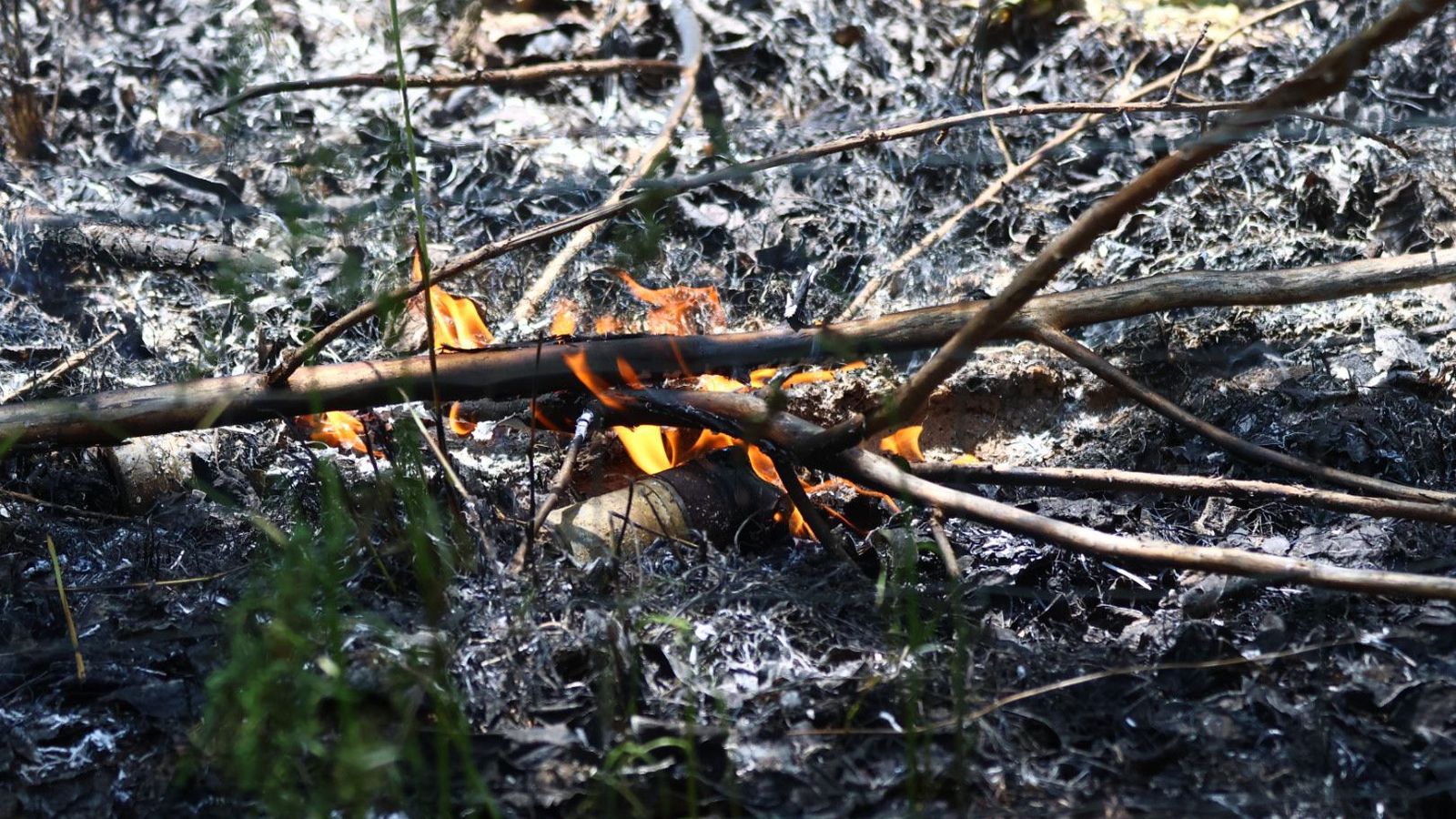 Incendio en Valverdón