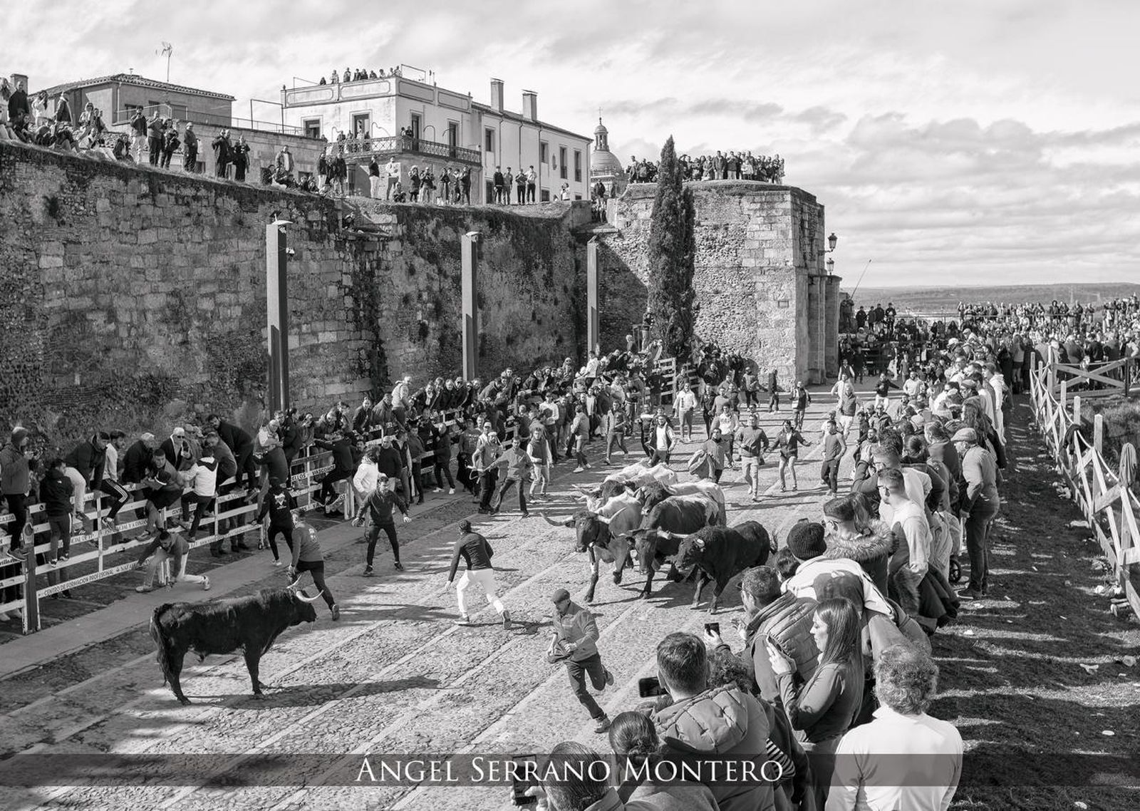 Fotografías seleccionadas para el calendario del Carnaval del Toro  (11).jpeg