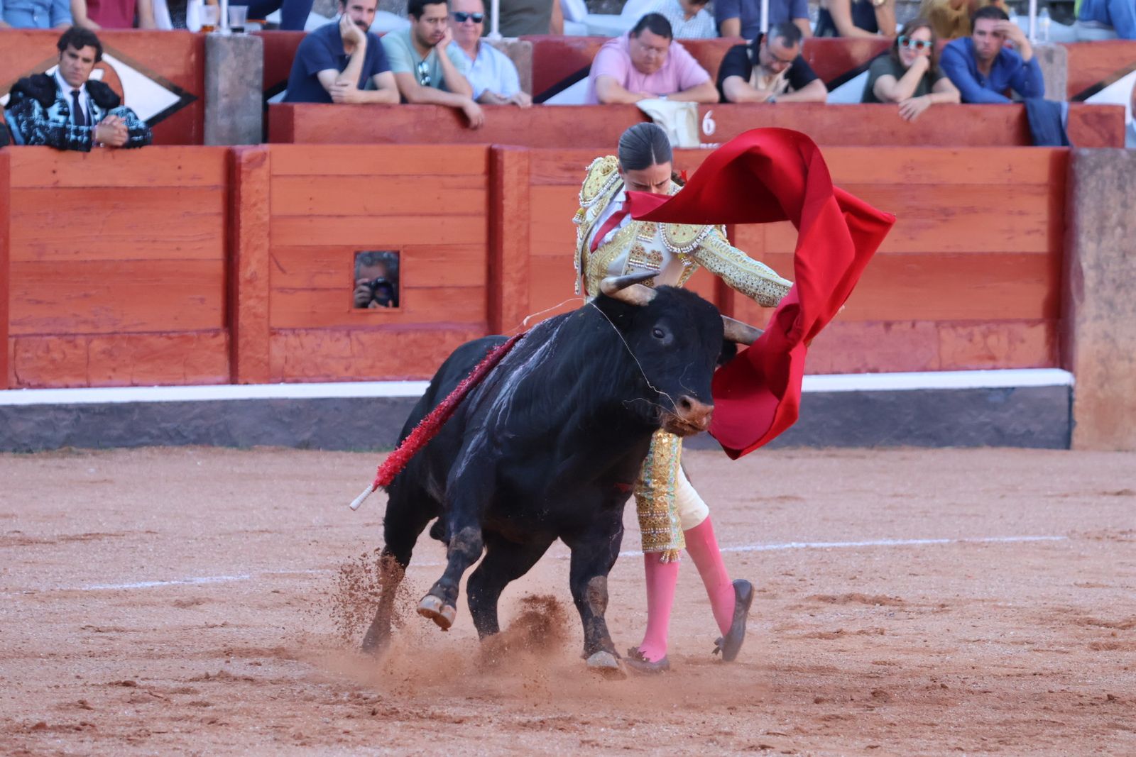 La Glorieta revive el aroma de la feria taurina con el primer festejo: Lea Vicens, Raquel Martín y Olga Casado