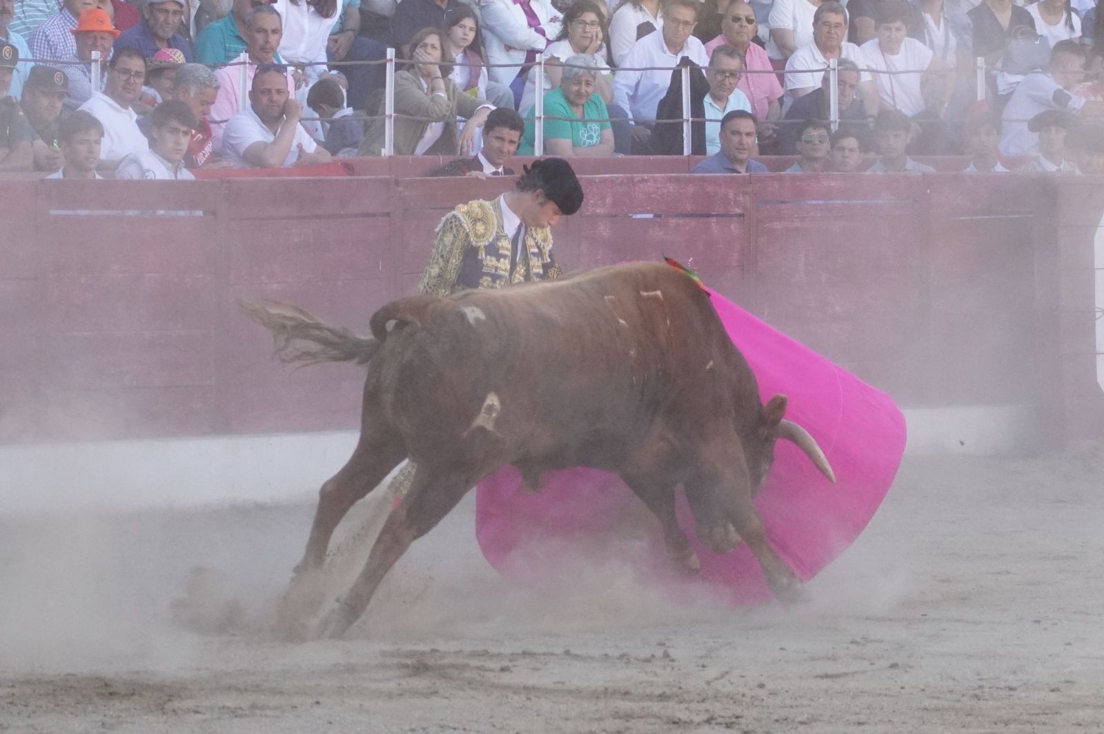 whatsapp-image-2024-06-02-at-22-12-02