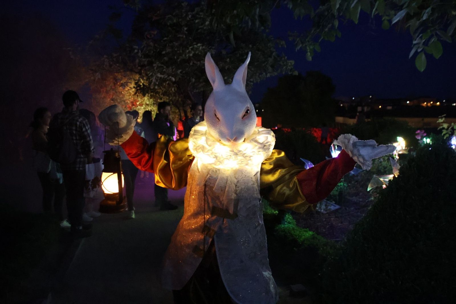 20240613214716-img-7567