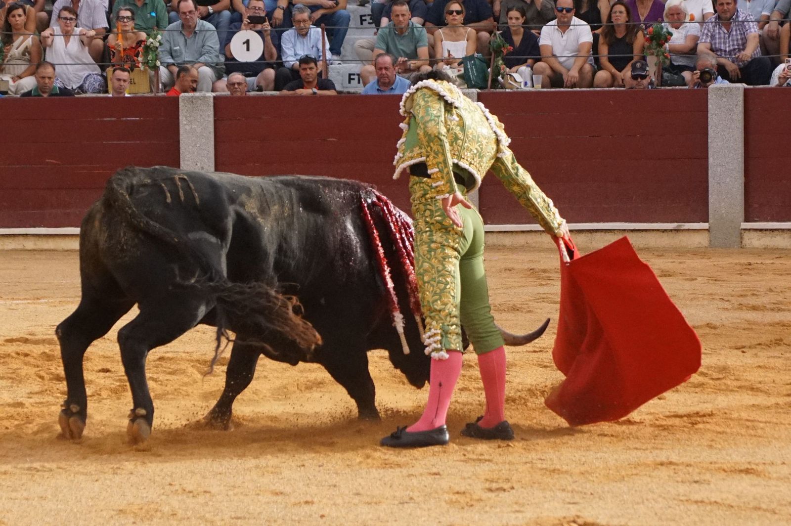 Javier Castaño se despide de Guijuelo y Damián Castaño, su hermano, e Ismael Martín salen a hombros en Guijuelo
