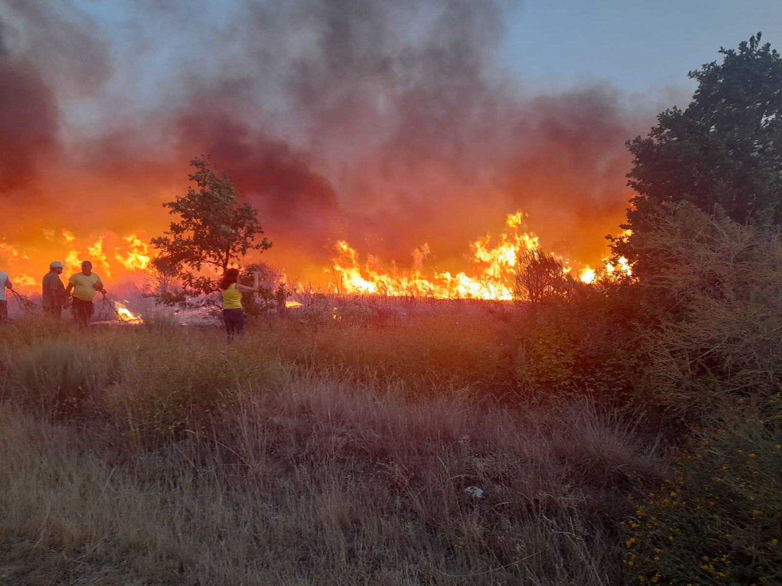 Incendio en Figueruela. Foto Fran Pequeño