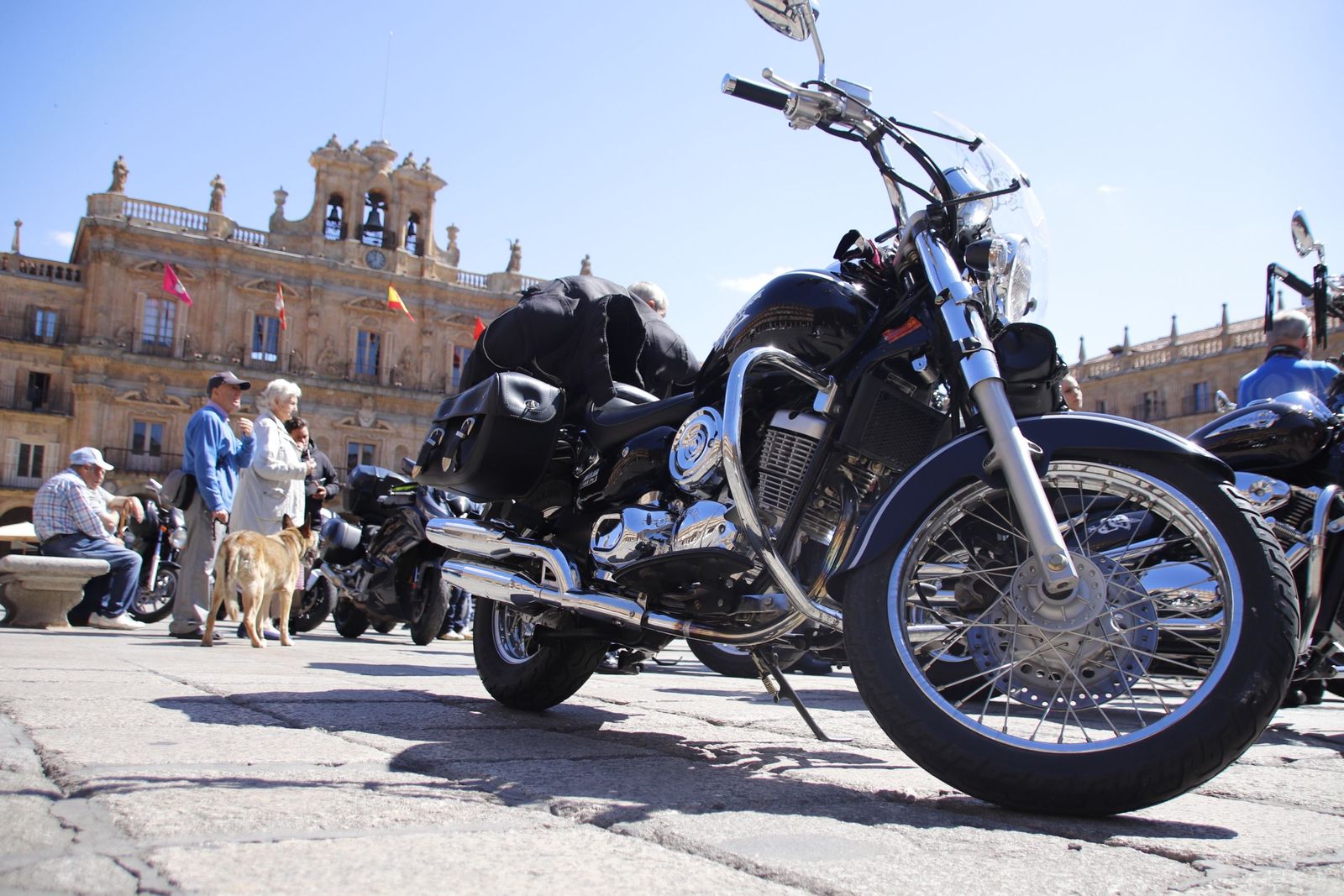 20220626104215-mg-6716