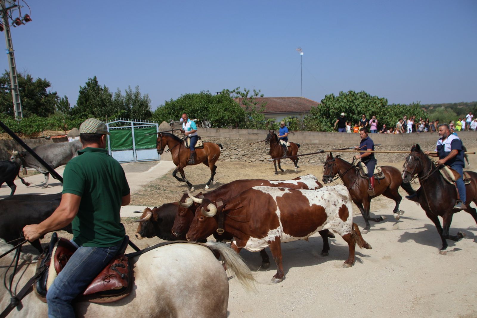 Lumbrales encierro a caballo, dia 2