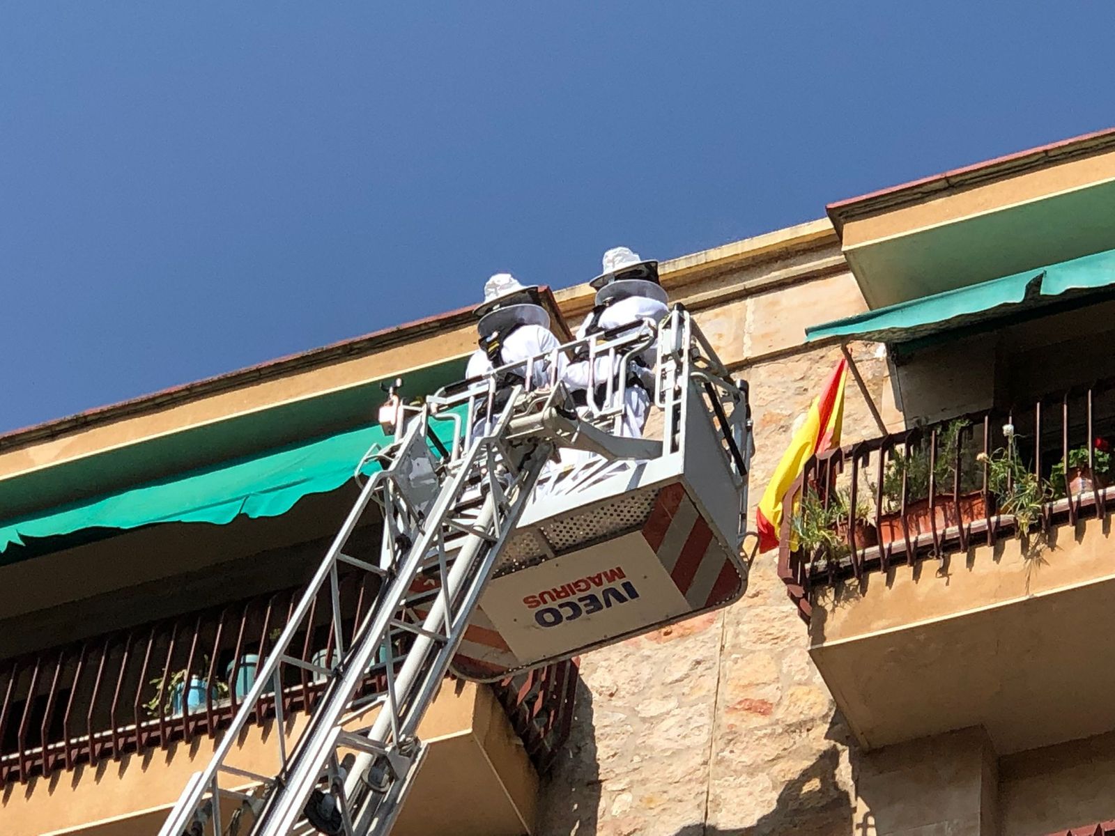 colmenas-en-crespo-rasco-n-5