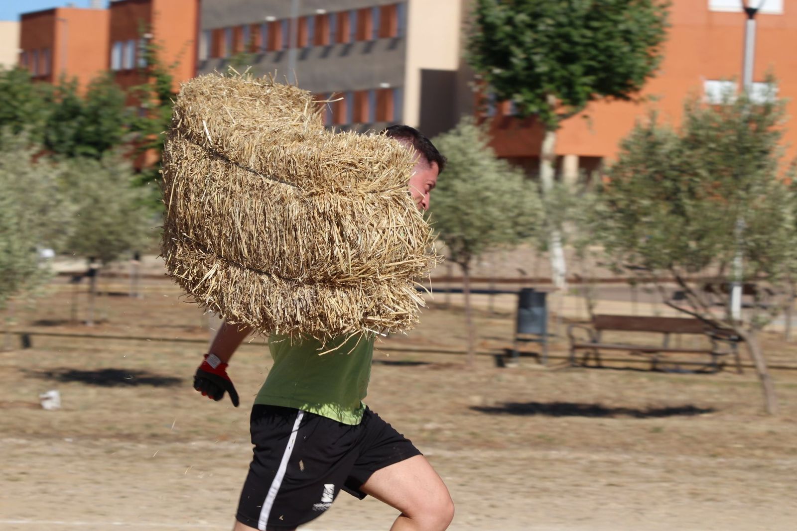 20230806194008-img-4619