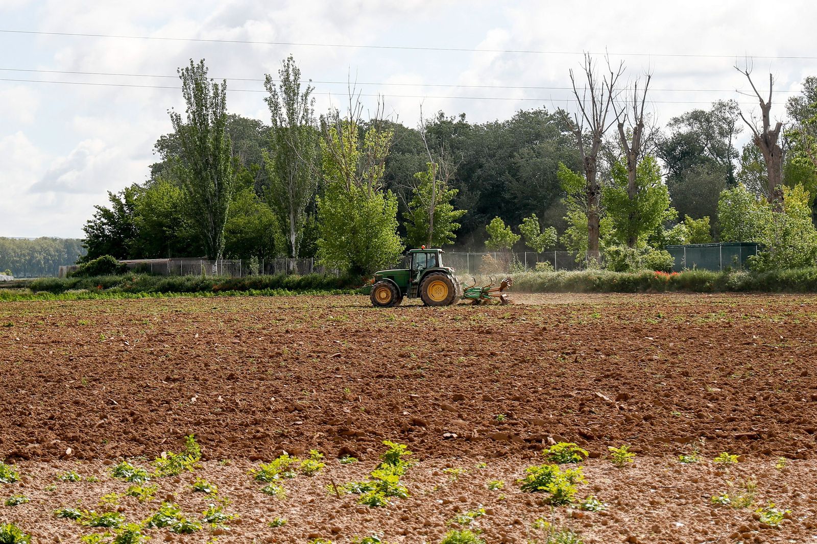 Tractor, agricultor
