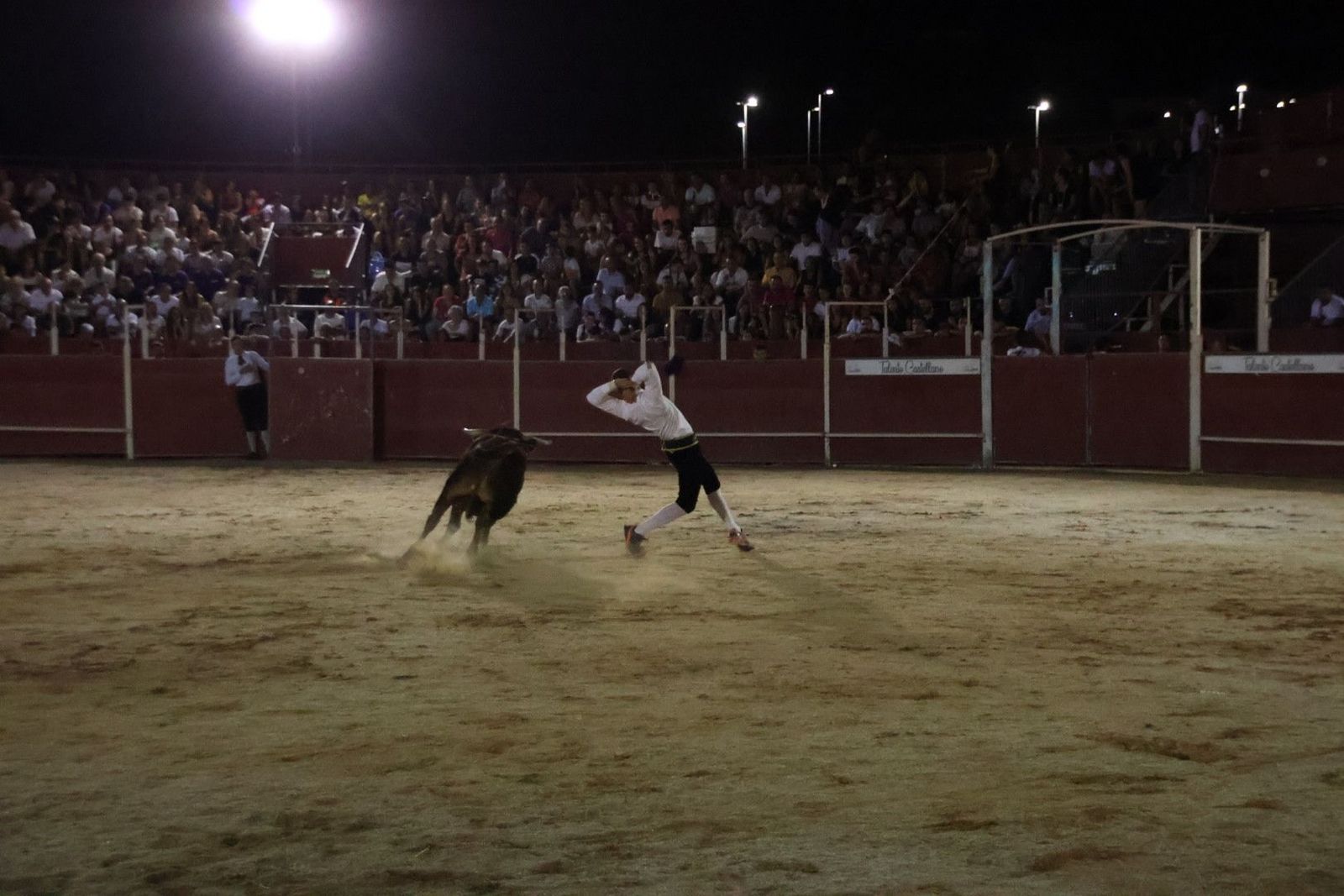 20230814214242-img-2134