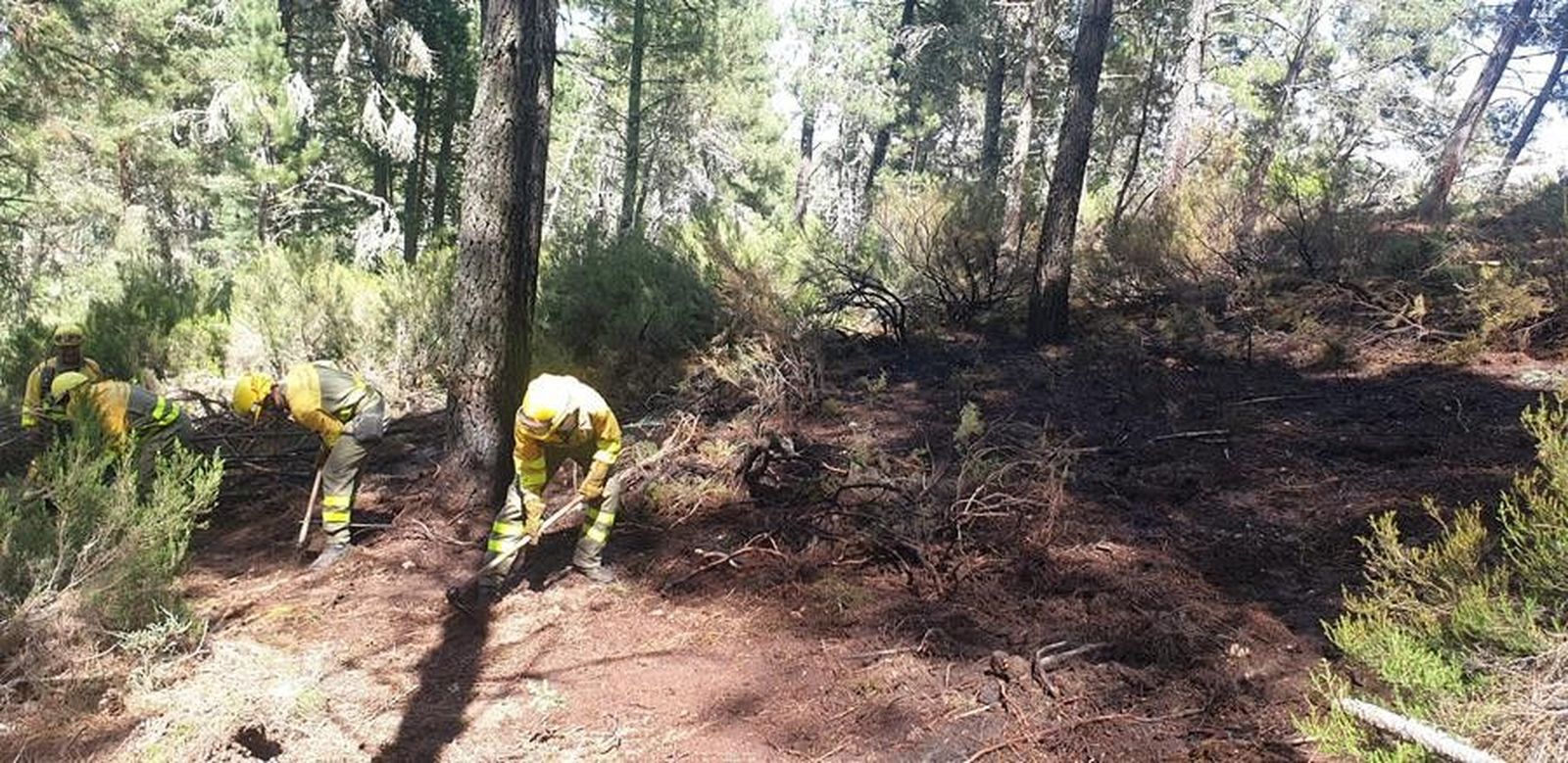 Incendio codesal (1)