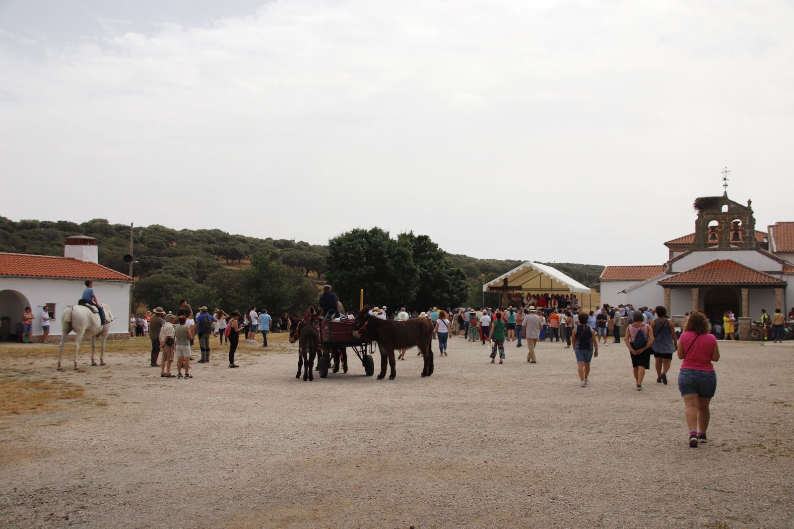 20220618110730-mg-4805