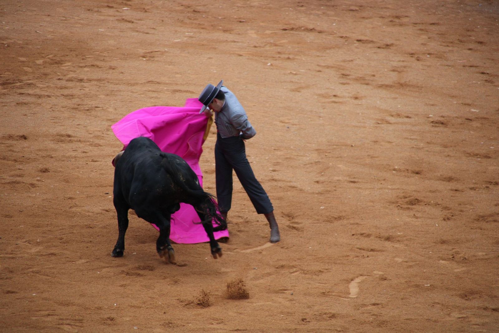 whatsapp-image-2025-03-02-at-18-53-55