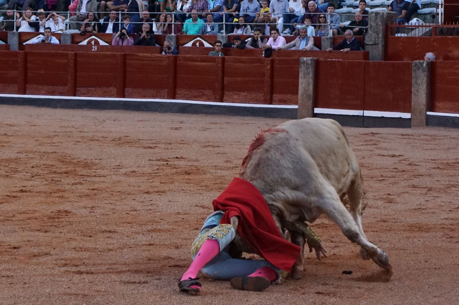 whatsapp-image-2022-09-08-at-9-20-35-pm-1