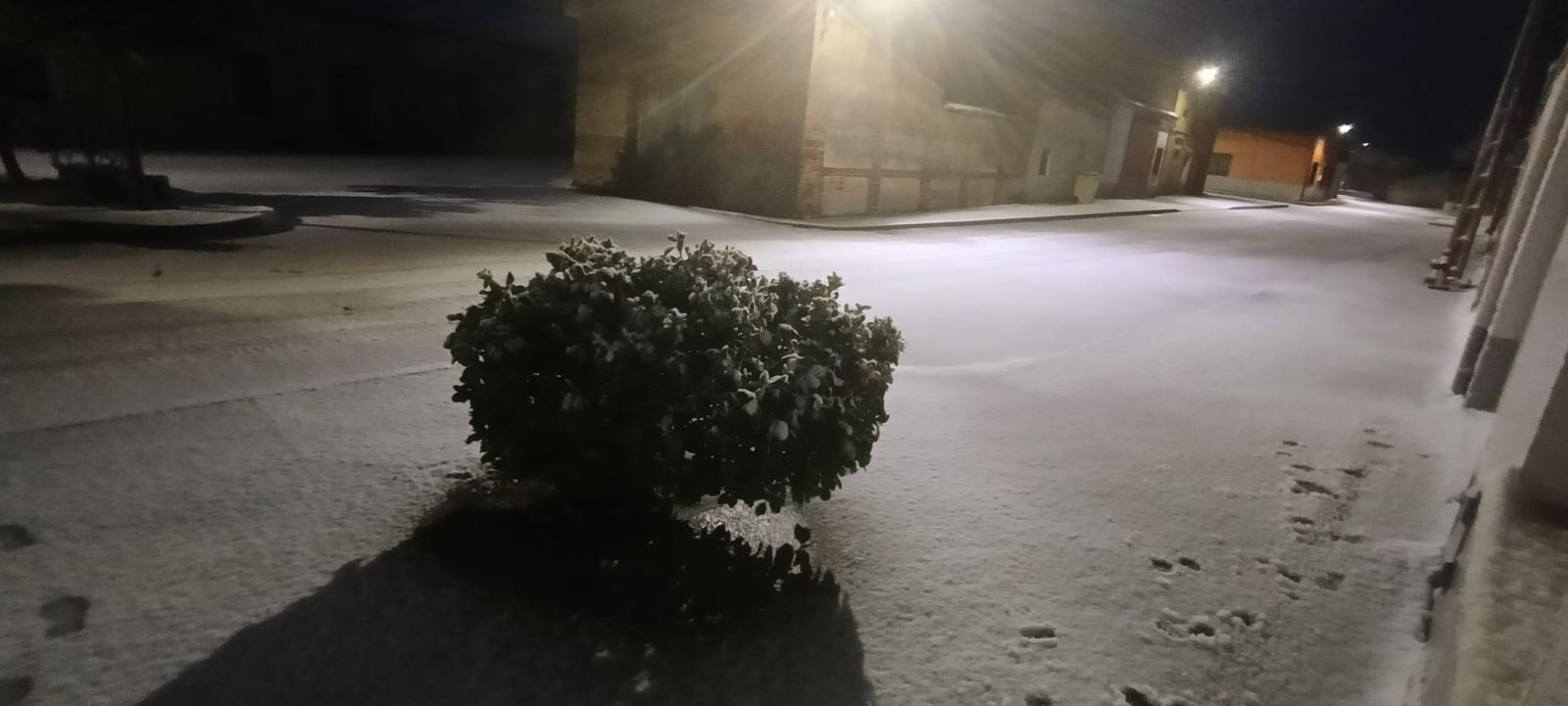 La nieve anega carreteras y tiñe de blanco Salamanca capital y provincia: imágenes de la nevada de este 28 de enero