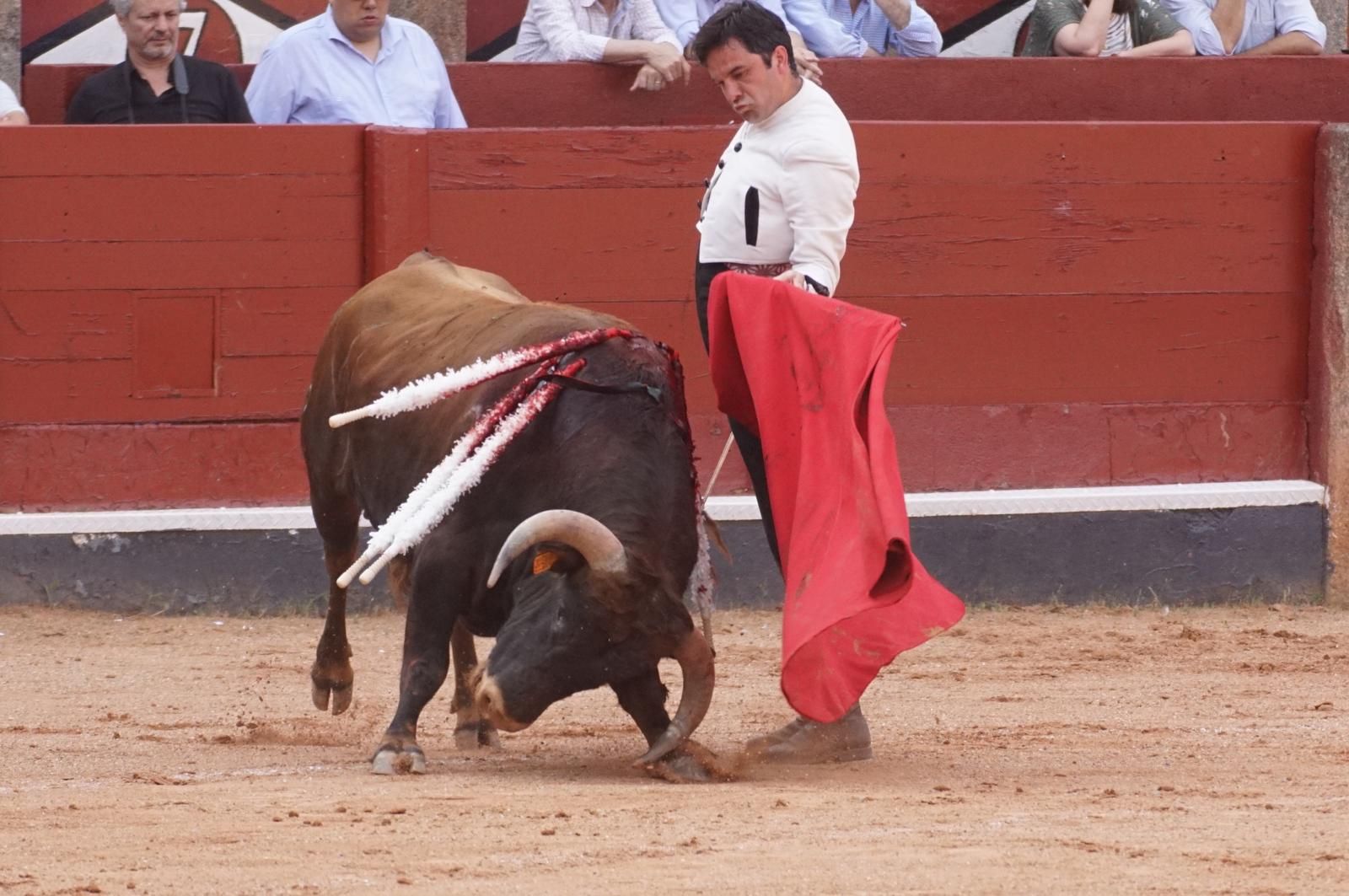 whatsapp-image-2025-06-12-at-21-25-05-1