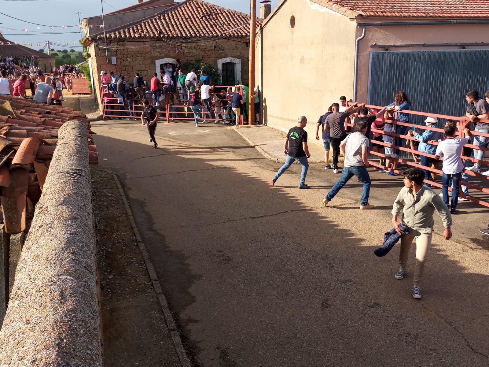 whatsapp-image-2022-05-14-at-8-08-43-pm