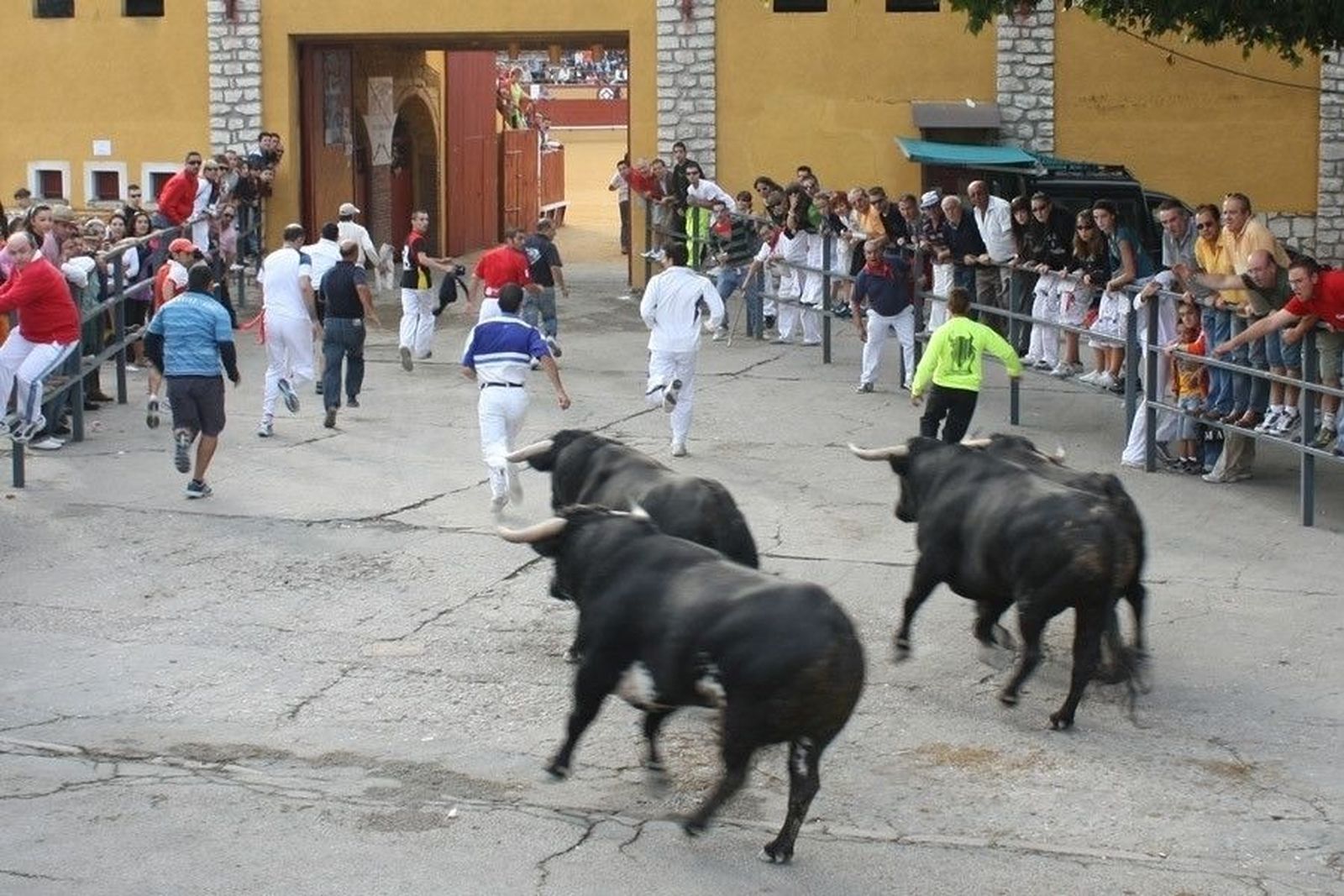 Un muerto de una cornada en el corazón en el primer encierro taurino de Cuéllar